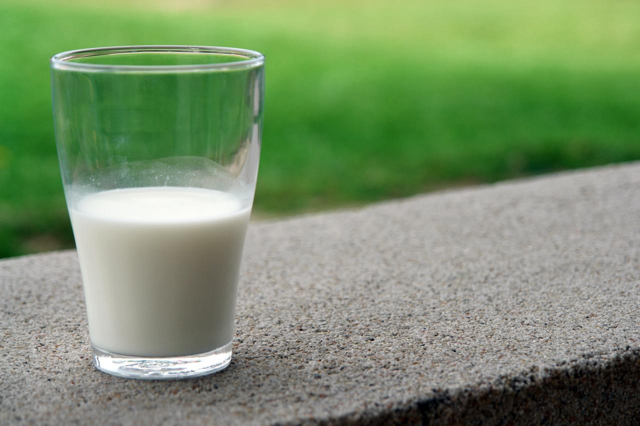 Kết quả hình ảnh cho milk mlekovita